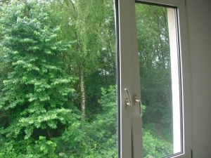 Desinfizierung-Renovierung (13).JPG